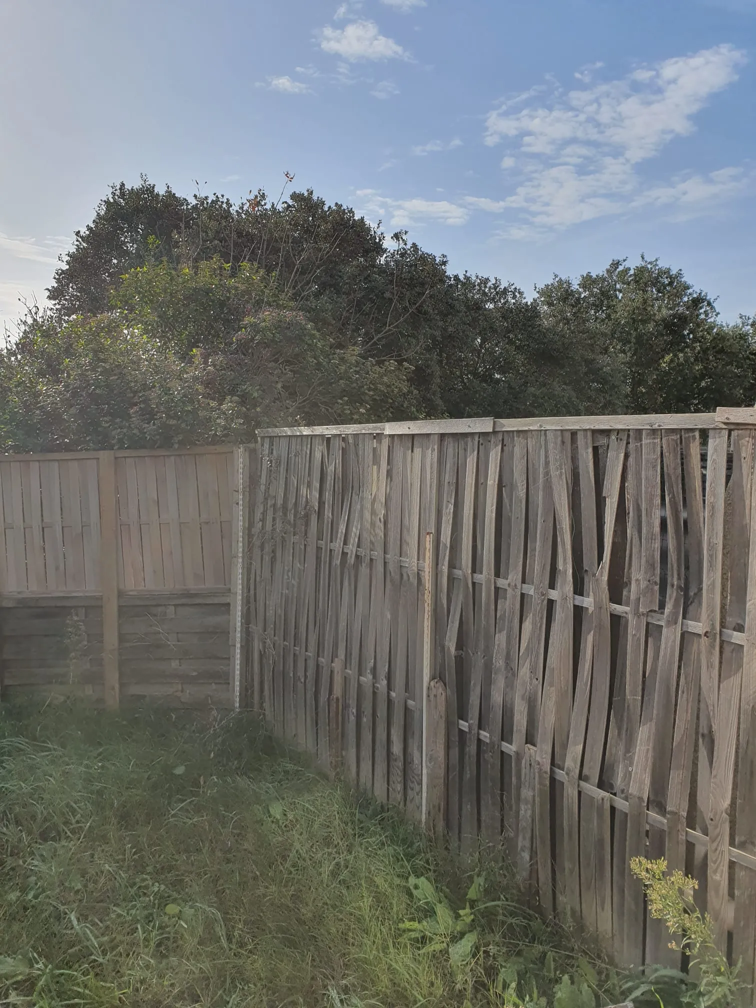 WhatsApp Image 2025-10-14 à 23.03.55_90b11e9a